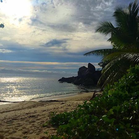 Villas Du Voyageur Grand Anse  Bagian luar foto