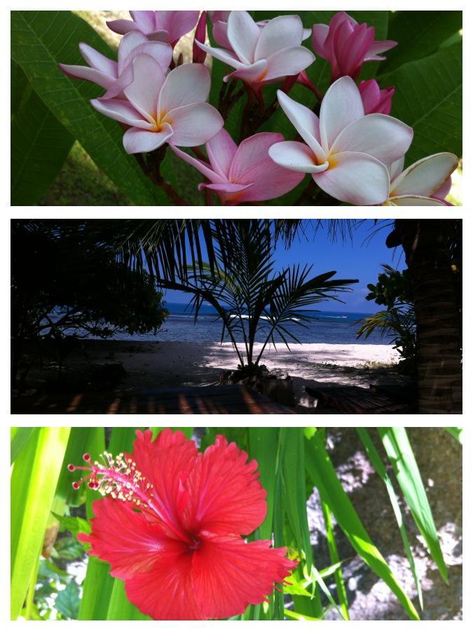 Villas Du Voyageur Grand Anse  Bagian luar foto
