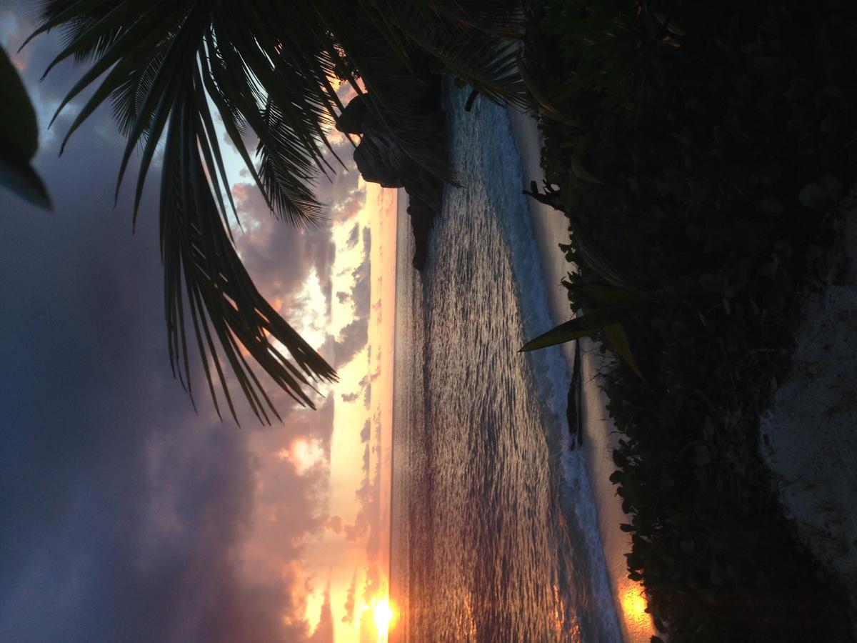 Villas Du Voyageur Grand Anse  Bagian luar foto