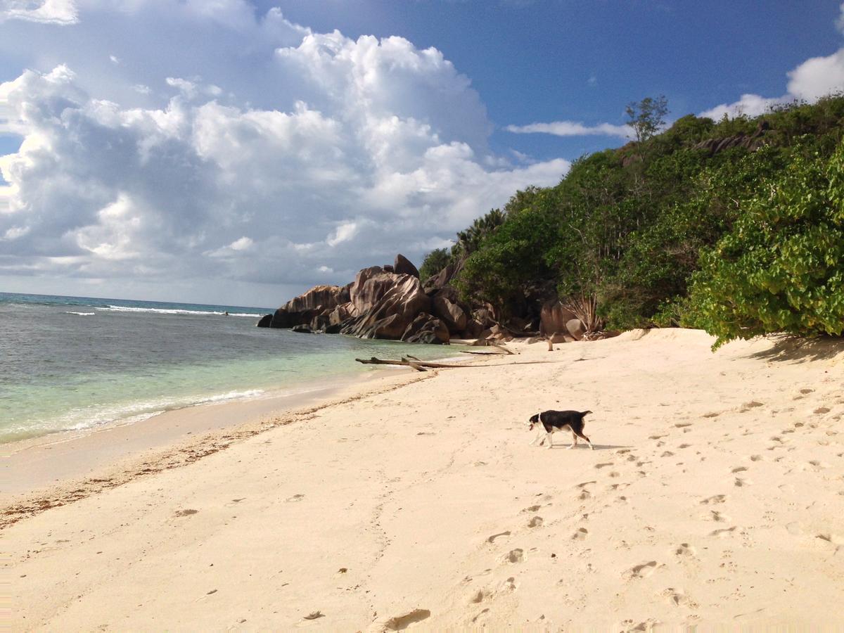 Villas Du Voyageur Grand Anse  Bagian luar foto