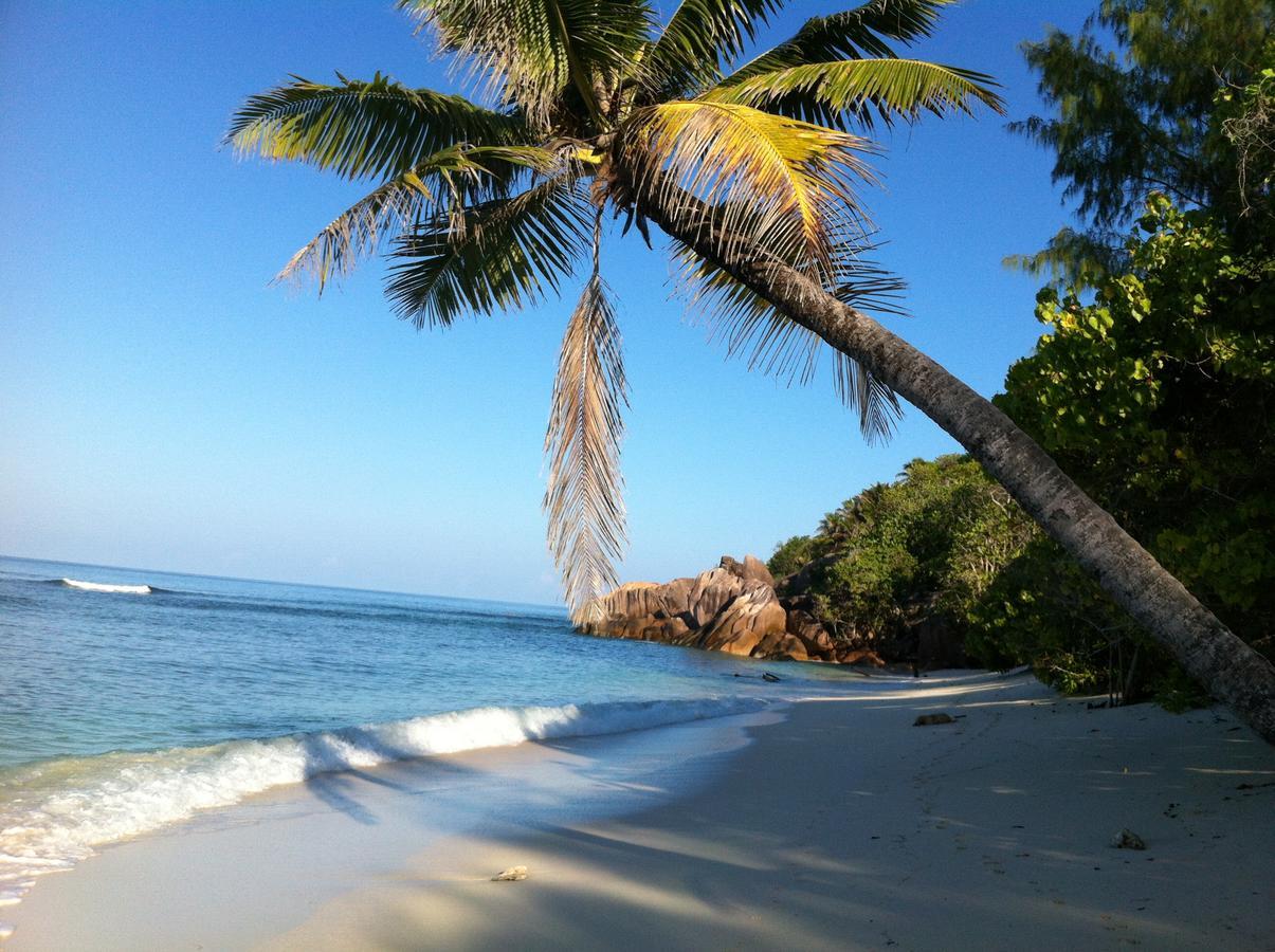 Villas Du Voyageur Grand Anse  Bagian luar foto