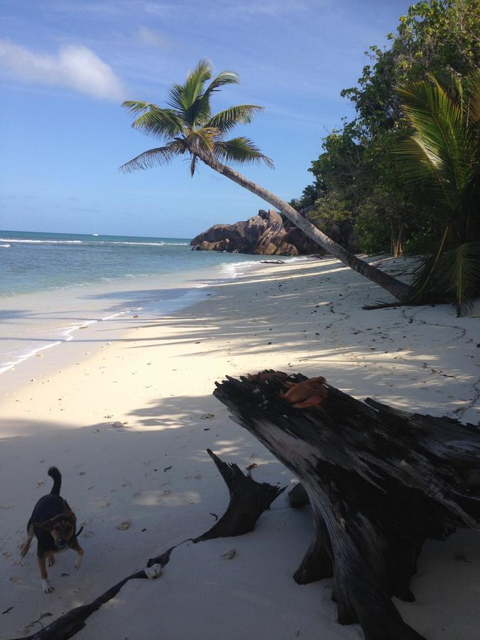 Villas Du Voyageur Grand Anse  Bagian luar foto
